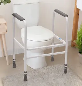 Toilet surround